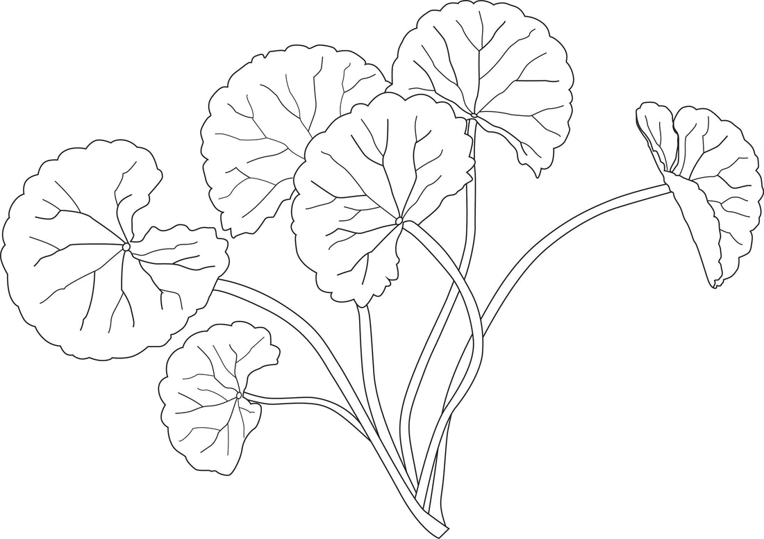 PDRN, Peptides and Exosomes: Next-Generation Care for the Eye Area